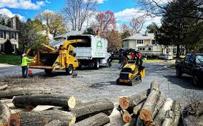 Best Lawn Grading and Leveling  in Grant, MN